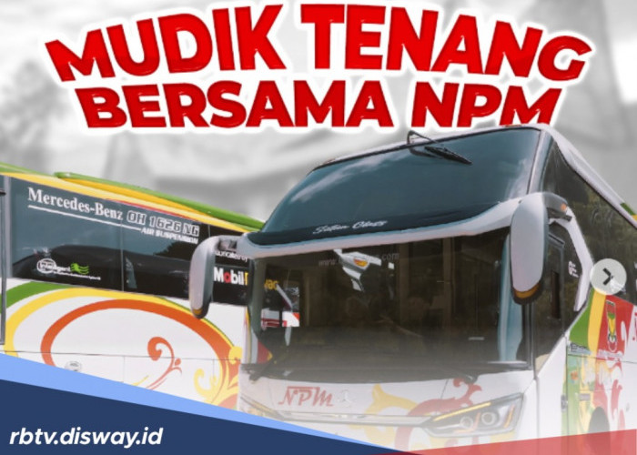 Mudik Murah dan Nyaman Bersama Bus NPM, Ini Harga Tiket dan Jadwal Keberangkatannya