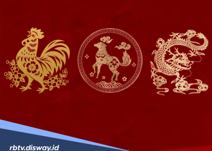 Diterpa Hoki Beruntun, 3 Shio Ini Kebanjiran Rezeki di Mei 2025, Kamu Termasuk?