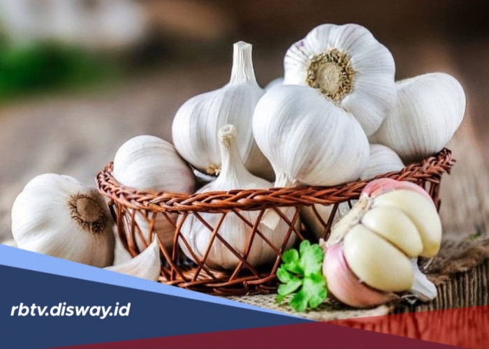 Bawang Putih untuk Perawatan Kulit, Rahasia Cantik Alami yang Patut Dicoba