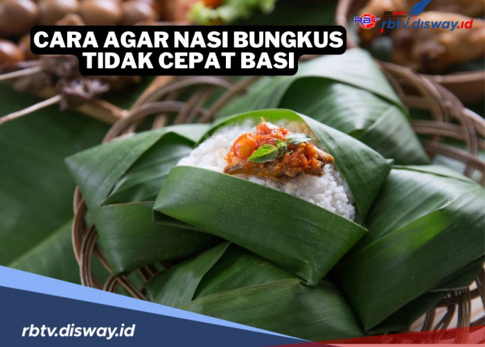 Tak Perlu Khawatir Lagi, Ini 5 Cara agar Nasi Bungkus yang Dibawa Tidak Cepat Basi saat Berangkat Jauh