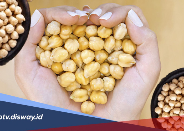 Manfaat Kacang Arab, Oleh-oleh Tanah Suci yang Bermanfaat Bagi Tubuh