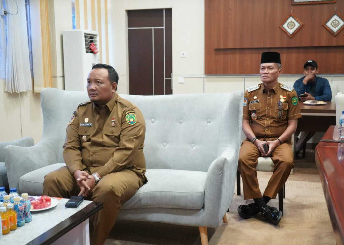 Pemkot Bengkulu Terima Sapi Qurban Bobot 804 Kg dari Presiden RI