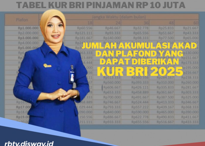 Segini Jumlah Akumulasi Akad dan Plafon KUR BRI 2025, Cek Tabel Angsuran Rp 10 Juta