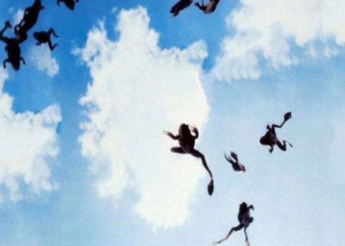 Begini Fakta Ilmiah Fenomena Hujan Katak, Terbaru Terjadi di Brazil, Apakah Memang Kutukan?