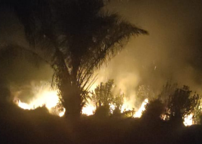 Komplek Rumah Dinas Bupati Seluma dan Satu Hektar Lahan Gambut di Sukaraja Terbakar