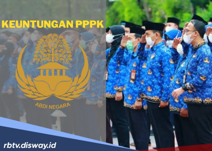 Bagi yang Lolos Seleksi PPPK? Ini 6 Keuntungan Besar yang Menanti Tahun 2025
