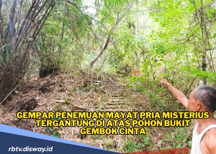 Penemuan Mayat Pria Misterius Tergantung di Atas Pohon Bukit Gembok Cinta