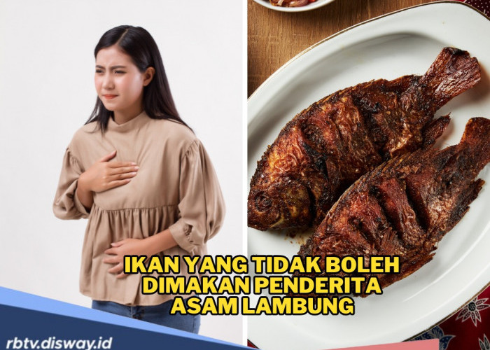 Hati-Hati, 7 Jenis Ikan Ini Bisa Picu Asam Lambung Makin Parah 