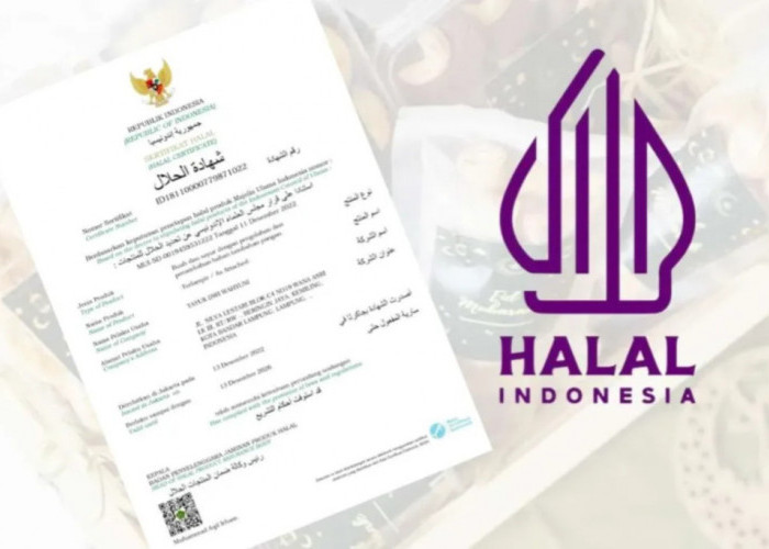Cara Mengajukan Sertifikat Halal, Segera Lengkapi Syarat dan Dokumennya