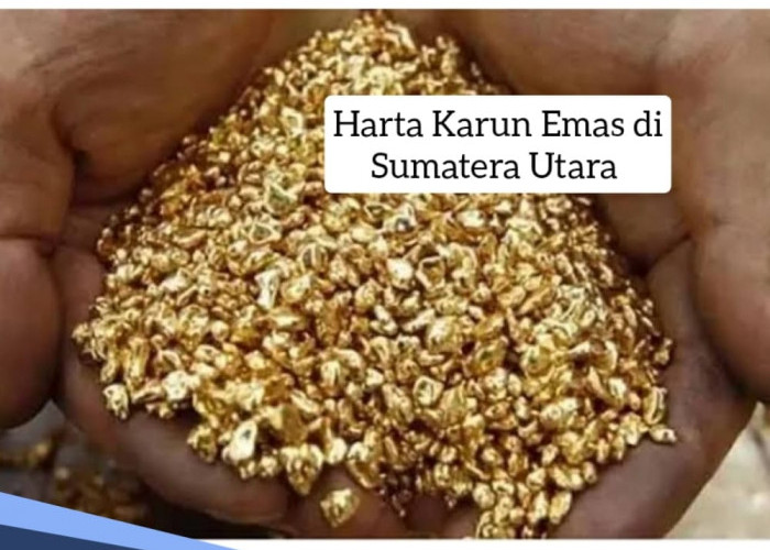 Surga Harta Karun Emas di Sumatera Utara Terbesar di Indonesia, Auto jadi Sultan? Ini Letak Titik Lokasinya