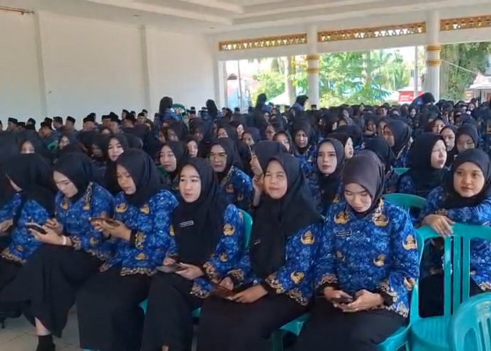 Gaji PPPK Paruh Waktu dan Penuh Waktu di Kalimantan Tengah 2025, Simak Kabupaten Mana Penghasilan Tertinggi 
