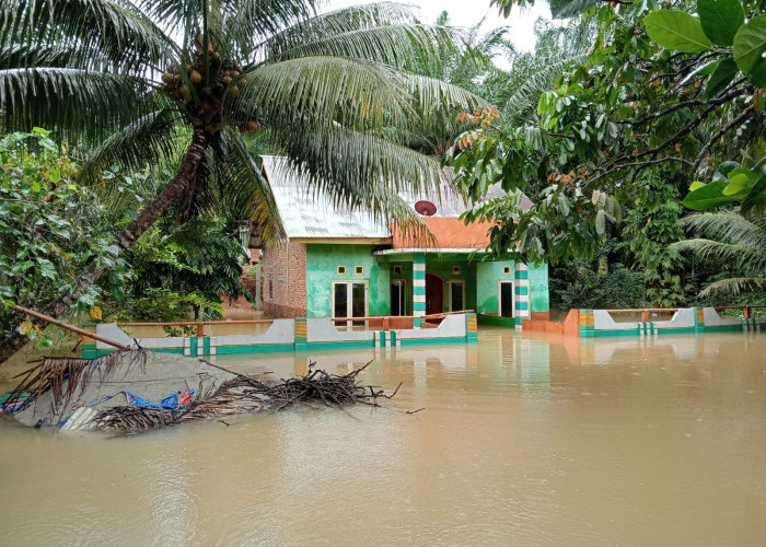 Banjir di Seluma, BPBD Sebut 3 Desa di 2 Kecamatan Terendam Banjir Akibat Luapan Sungai Sindur