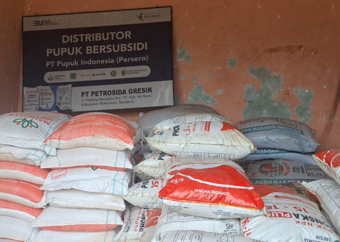 Begini Cara Petani di Mukomuko untuk Mendapatkan Pupuk Subsidi