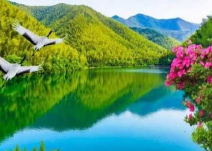 Kerjakan Amalan Ini Jika Ingin Mendapat Rumah di Surga, Nomor Empat Berat Sekali