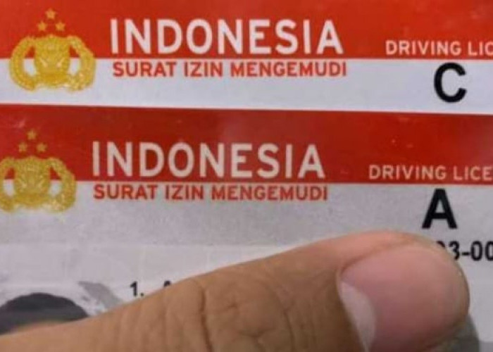 Biaya Pembuatan SIM Diusulkan Gratis, Setuju Nggak? Ini Kata Kemenkeu