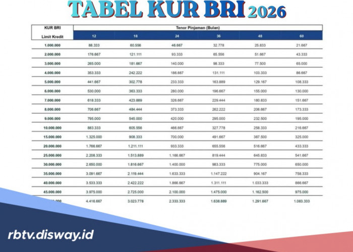 Apa Saja Kriteria Sektor dan Jenis Usaha yang Bisa Mengajukan Pinjaman KUR BRI 2026