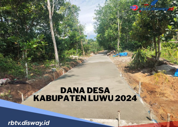 Dana Desa di Kabupaten Luwu Tahun 2024, Cek Rinciannya per Desa
