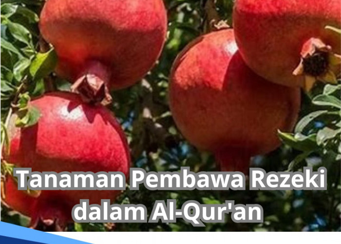 Muslim Harus Tahu, Inilah 8 Tanaman dalam Al-Qur'an yang Disebut Sebagai Tanaman Pembawa Rezeki