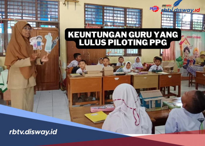 6 Keuntungan Guru yang Lulus Piloting PPG, Mulai dari Tunjangan Hingga Perlindungan Hukum