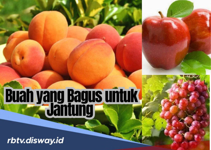 10 Buah yang Baik untuk Kesehatan Jantung, Enak dan Mudah Didapat