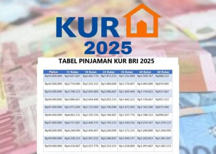 Cara Ajukan KUR BRI 2025 Plafon Rp 100 Juta Bisa Tanpa Jaminan, Mudah dan Cepat Cair