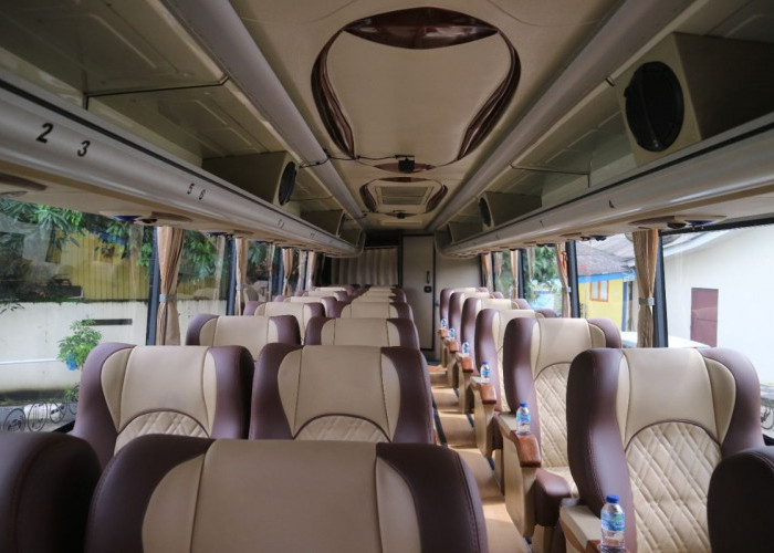 Ini Dia, Posisi Kursi Bus yang Paling Nyaman untuk Perjalanan Jauh