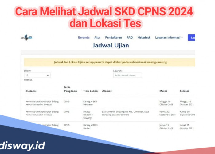 Begini Cara Melihat Jadwal SKD CPNS dan Lokasi Tes, Pastikan Jangan Salah