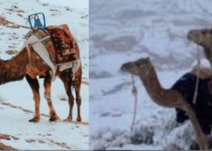 10 Fakta Unik di Dunia yang Belum Kamu Ketahui, Ada Salju di Gurun Sahara
