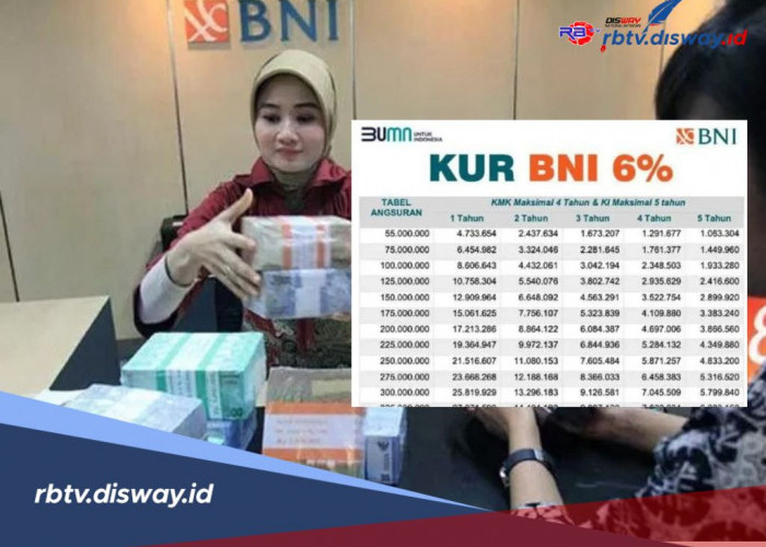 Tabel KUR BNI 2025 Pinjaman Rp 25 Juta untuk UMKM Rumahan, Segera Cek dan Ajukan