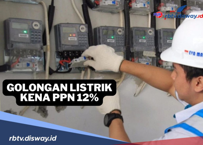 Masuk Kategori Ini, 400 Ribu Pelanggan PLN di Indonesia Akan Kena PPN 12% yang Berlaku 1 Januari 2025