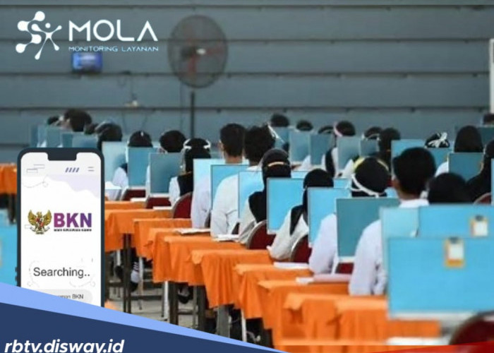 Akses MOLA BKN, Begini Cara Cek Penetapan NIP PPPK, Lengkap Penjelasan Notifikasinya