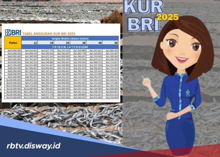 Cicilan Paling Murah Pinjaman Rp 85 Juta, hanya KUR BRI November 2025, Cek Apa saja Syaratnya