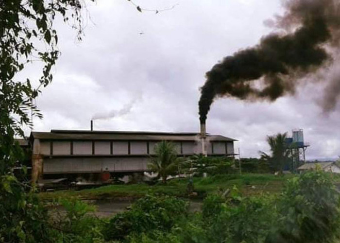 Pemkab Bengkulu Selatan Awasi Operasi Dua Pabrik CPO, Begini Hasilnya