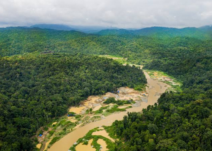 Ini Dia Lokasi Harta Karun Emas di Solok Selatan, Tempatnya Dikenal Angker dan Sangat Berbahaya