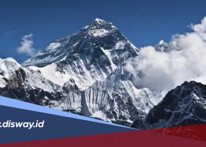 5 Gunung Tertinggi di Indonesia, Adakah yang Tahu Letaknya di Provinsi Mana