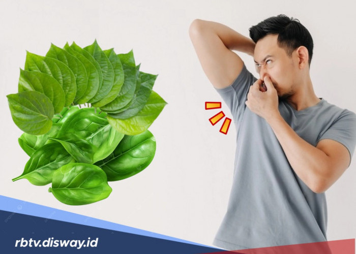 8 Cara Ampuh Hilangkan Bau Ketiak Tanpa Deodorant