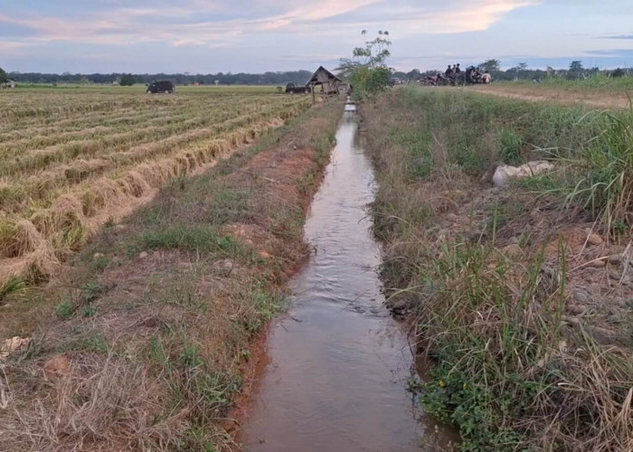 BPBD Beri Warning: Kabupaten Mukomuko Mulai Terdampak Musim Kemarau