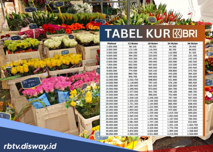 Tambah Modal Bisnis Toko Bunga via KUR BRI 2025, Pinjaman Rp15 Juta Cicilan Berapa?