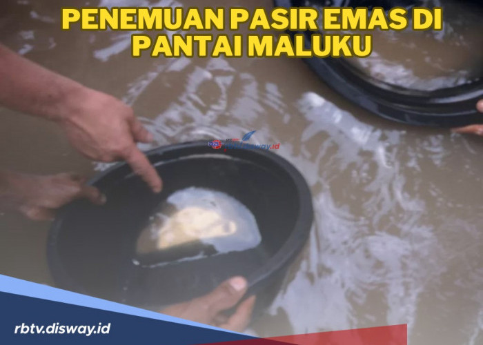 Sempat Viral Penemuan Pasir Emas di Pantai Maluku, Warga Berbondong-bondong Datang, Ini 5 Fakta yang Terjadi