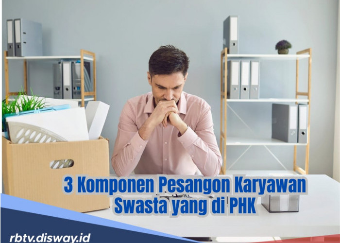 Bukan Cuma Pesangon, Karyawan Swasta di PHK Berhak Terima 3 Komponen Ini Berdasarkan UU Cipta Kerja
