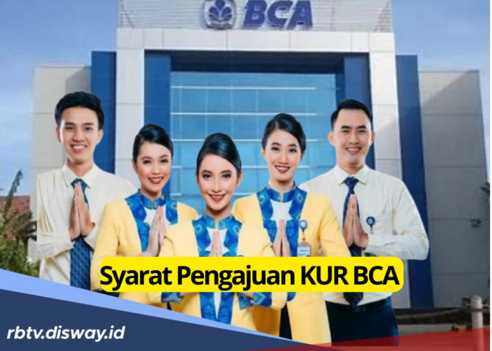 Makin Mudah, Ini Syarat Pengajuan KUR BCA 2025, Dijamin Cair