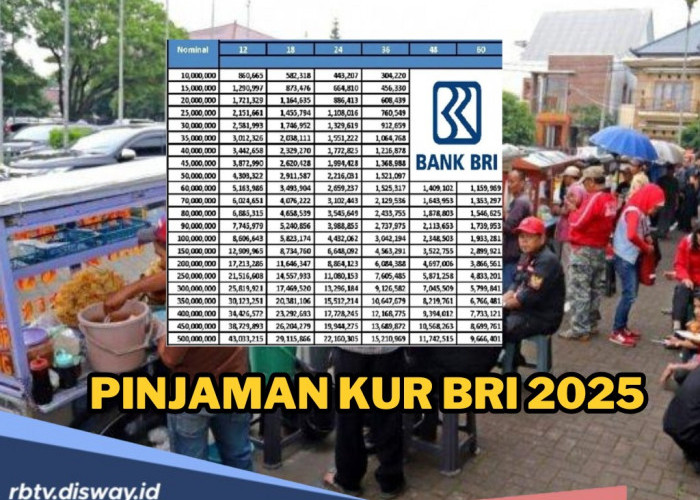 Solusi UMKM Naik Level, Ini Syarat yang Harus Ada Untuk Dapatkan Pinjaman KUR BRI 2025