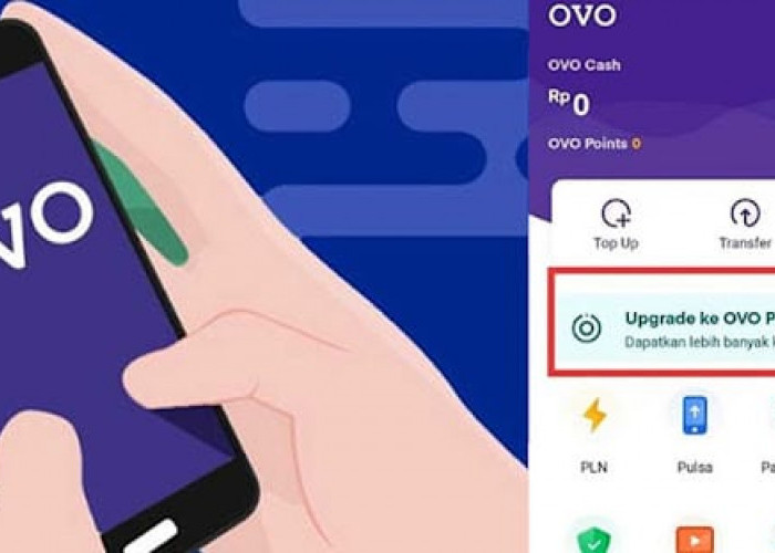 Cara Aktivasi OVO PayLater, Pembiayaan Belanja Online Sampai Rp 10 Juta Bisa Dicicil 12 Bulan