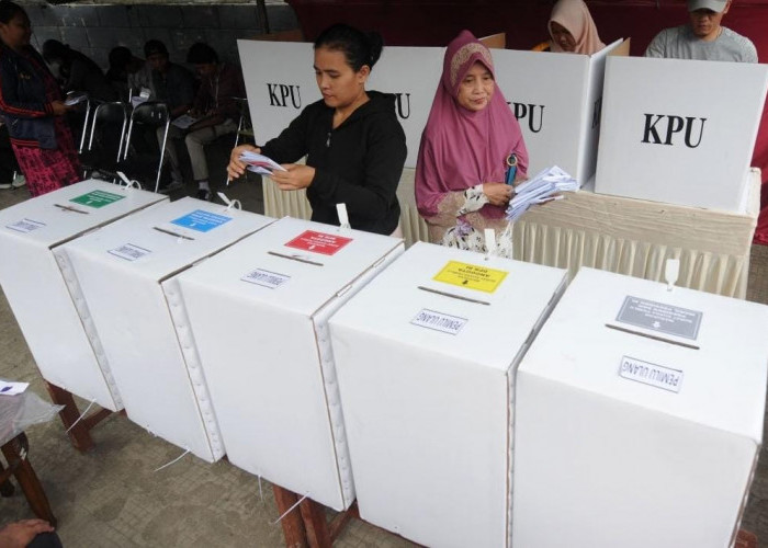 Bikin Kaget, Ternyata Gaji KPPS Pemilu 2024 Naik 2 Kali Lipat dari 2019, Segini Besarannya