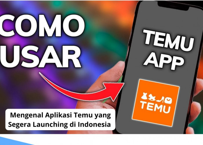 Mengenal Aplikasi Temu yang Segera Launching di Indonesia, Diklaim Lebih Parah dari TikTok Shop