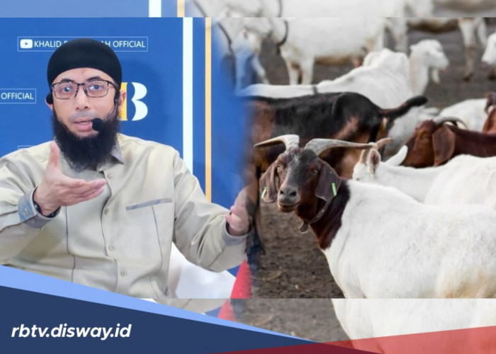 Kurban Kambing untuk Berapa Orang Menurut Ustadz Khalid Basalamah dan Syarat Hewan Kurban