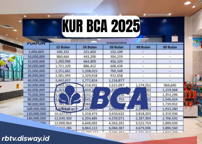 KUR BCA 2025 Pinjaman 200 Juta Bisa Diangsur Hingga 60 Kali, Cicilan Ringan, Cek Syarat Minimal Usia Pengajuan
