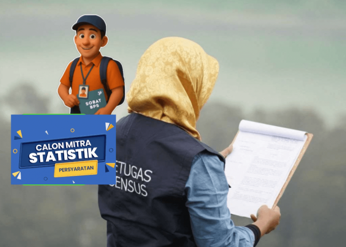 Mitra Statistik BPS 2026 Boleh Bekerja di Rumah atau Harus di Kantor?