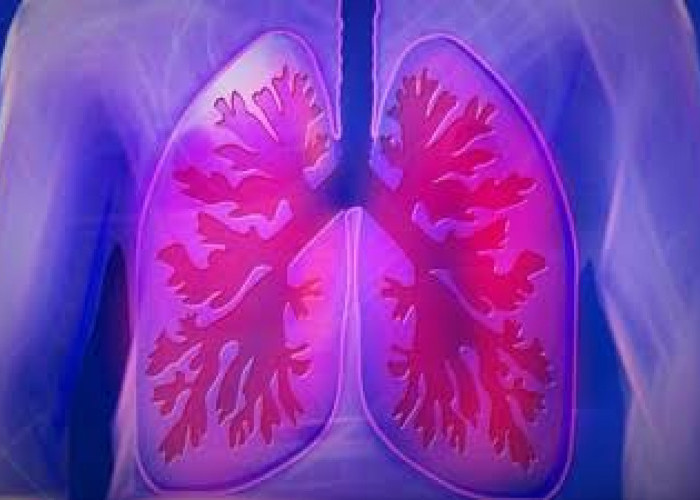Catat! Berikut 9 Cara Detoks Paru-paru Secara Alami, Bikin Paru-Paru Lebih Sehat