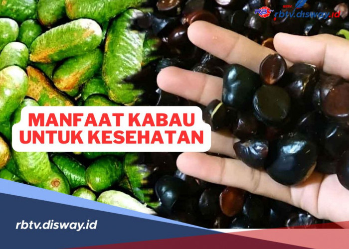 Ini Manfaat Kabau untuk Kesehatan yang Tak Disangka-sangka, Apa Saja? 